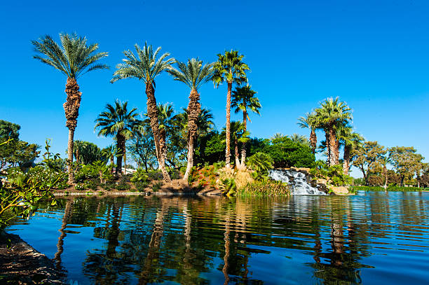 istock Palm trees on side of lake with reflection 464497590