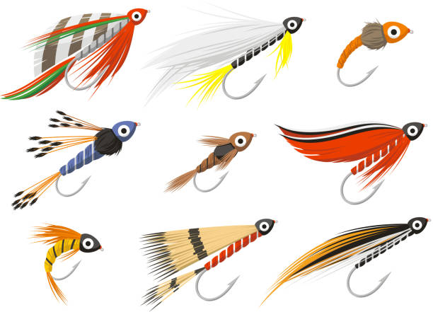 ilustraciones, imágenes clip art, dibujos animados e iconos de stock de flyfishing equipo de pesca con mosca - pesca con mosca ilustraciones