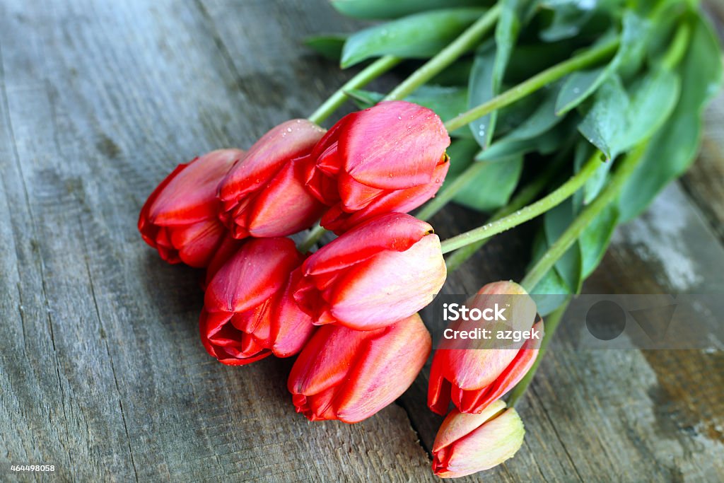 tulips vintage wooden background with tulips 2015 Stock Photo