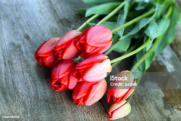 Tulips Stock Photo - Download Image Now - 2015, Beauty In Nature, Bouquet