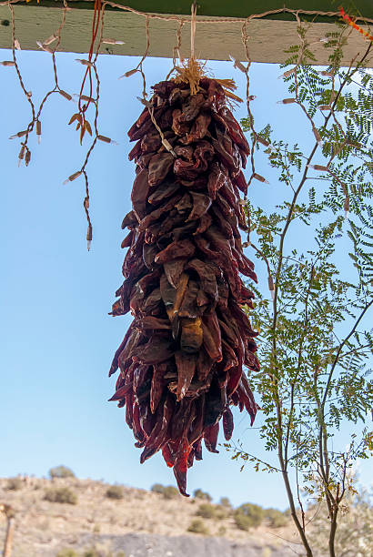 ristra of hot red chillies on a new mexico porch