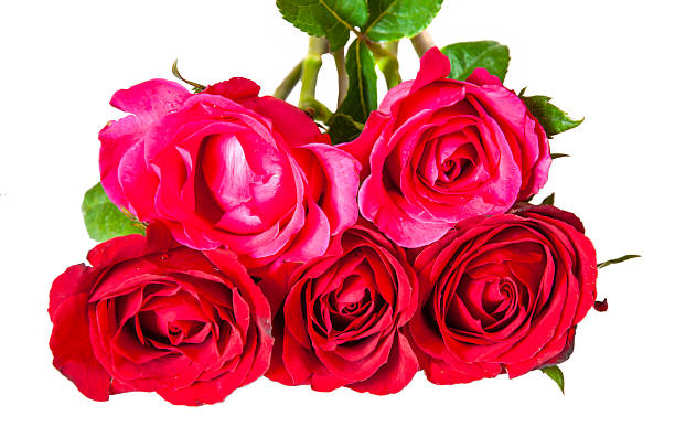istock Bouquet of roses isolated on white background 464499070