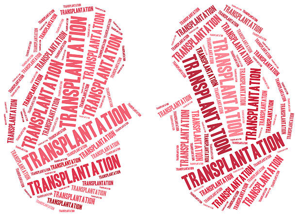 istock Kidney transplantation. Word cloud illustration. 464502644