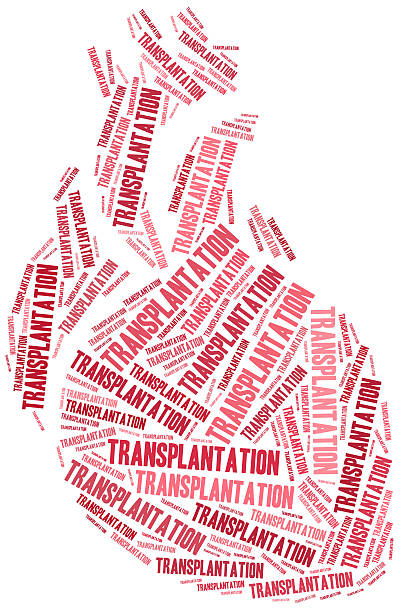 istock Heart transplantation. Word cloud illustration. 464502646