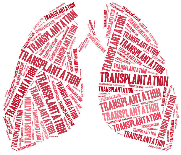 istock Lung transplantation. Word cloud illustration. 464502648