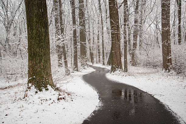 People are walking in a public parc during a freezing rain in Montreal.
