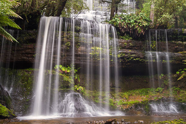 istock Russell Falls Tasmania 464503774