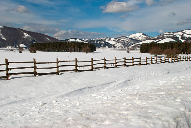 istock Wooden fence 464509060