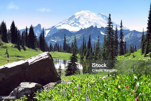 Mt Rainier En Verano Foto de stock y más banco de imágenes de Agua - Agua, Aire libre, América del norte