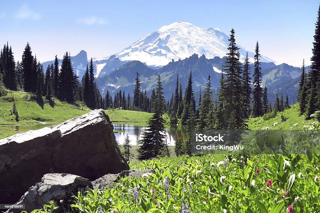 Mount Rainier w lecie - Zbiór zdjęć royalty-free (Alpenglow)