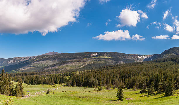 istock Panoramic view of Karkonosze mountains 464512947