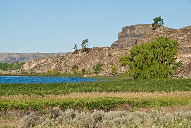 Steamboat Rock and Devil's Punchbowl Steamboat Rock is one of the many basaltic rock formations in the Central Washington scablands. The butte rises 800 feet above Banks Lake and was once an island in the Columbia River. This scene was photographed from Steamboat Rock State Park near Grand Coulee, Washington State, USA. jeff goulden washington state desert stock pictures, royalty-free photos & images
