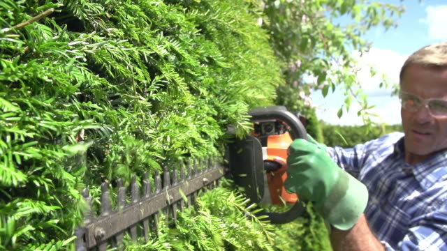 Slow Motion Sequence Of Man Cutting Hedge With Trimmer