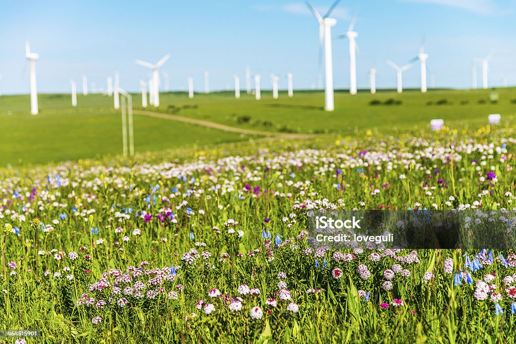 Poder gerar moinhos de vento - Foto de stock de Agricultura royalty-free