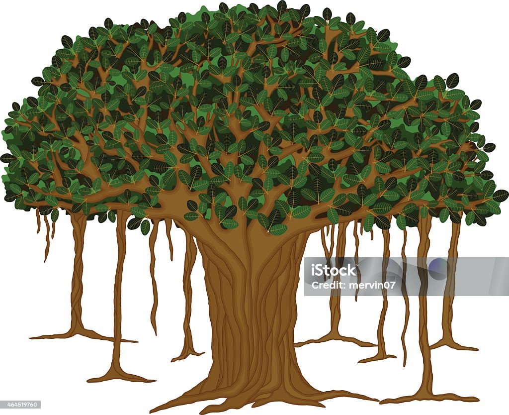 Banyan Treevector Illustration Stock Illustration - Download Image Now - Banyan  Tree, Illustration, Vector - iStock