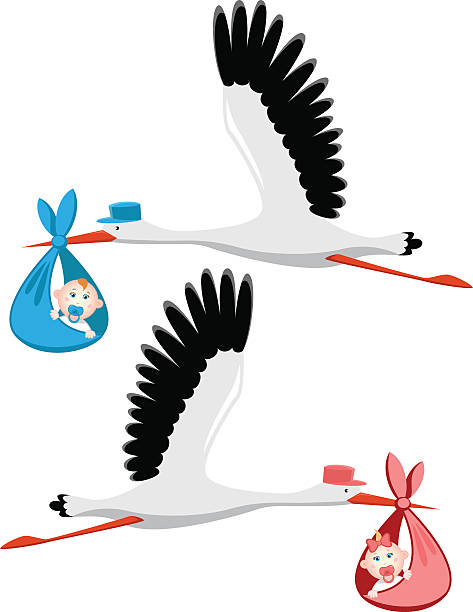 istock Stork delivering a newborn baby girl and boy 464520360