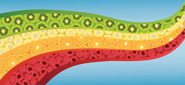 ilustrações de stock, clip art, desenhos animados e ícones de curva de forma de onda colorida cheia com frutas frescas - freshness food serving size kiwi