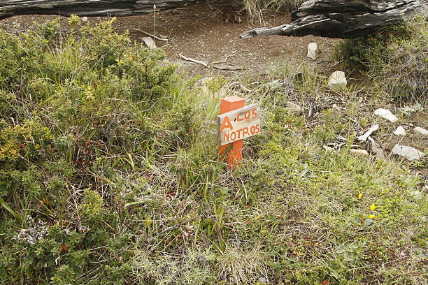 istock W Trek on Torres Del Paine Park 464521190