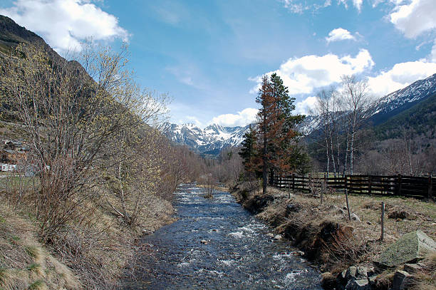 istock Cerdanya Nature and Mountains 464524593
