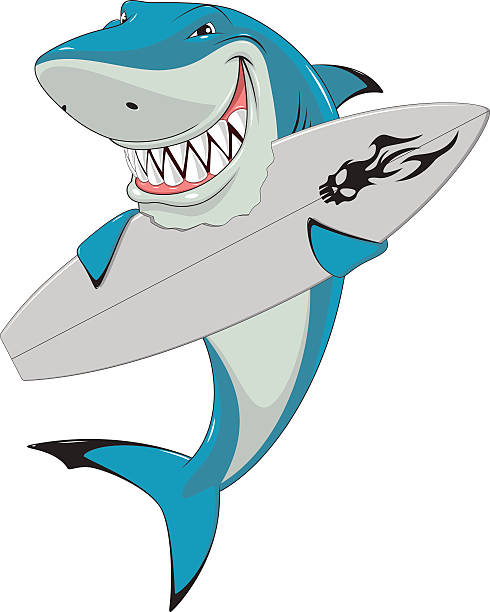 White shark Vector illustration, funny white shark with a surfboard great white shark stock illustrations