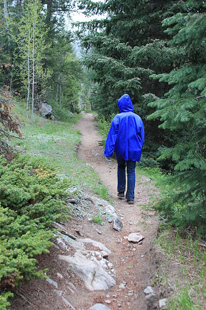 istock Hiker in Raincoat on Colorado Trail 464529284