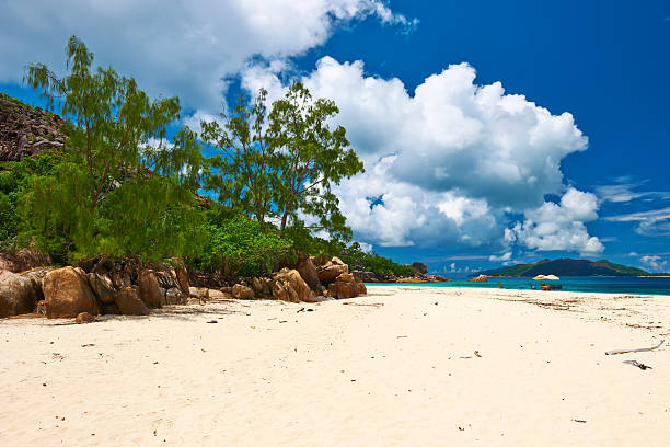 istock Beautiful beach at Seychelles 464532234