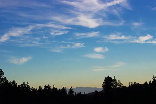 The sun sets over the forest in Santa Cruz County. Beautiful clouds and tree tops in the distance.