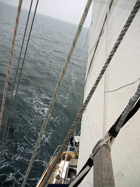 istock View from the top of the sailboat 464533782