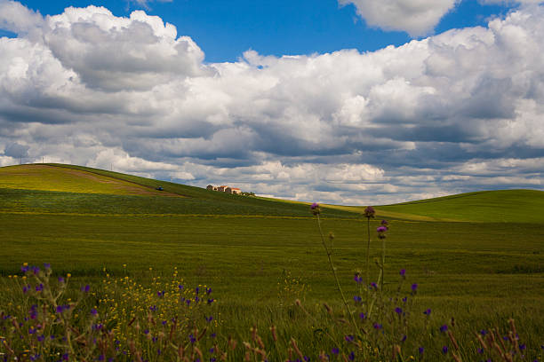 istock Between Puglia and Basilicata: rural landscape spring. - ITALY - 464534131