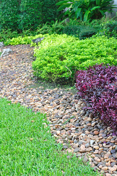 istock Beautiful landscaped yard and garden. 464538233