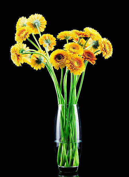 istock Bunch of gerber flowers 464538578