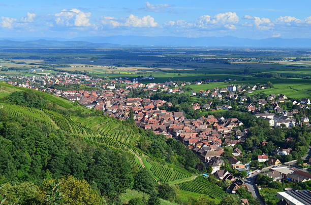 istock Panoramic view of Ribeaville and surrounding vineyards 464542522