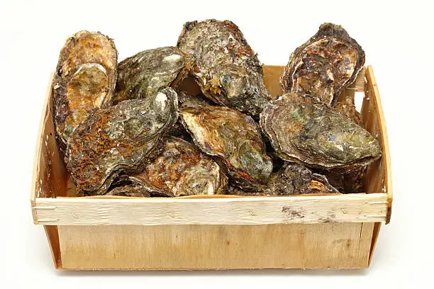 Photo of Oysters crate