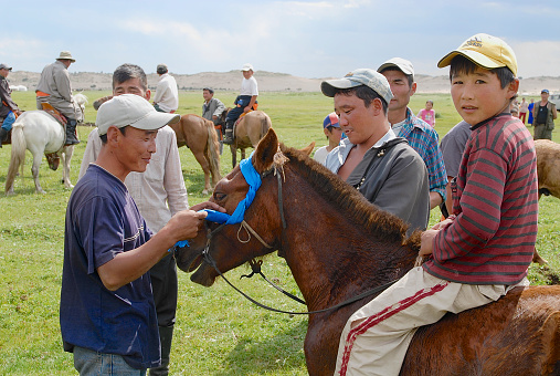 Harhorin, Mongolia - August 26, 2006: Unidentified men attach blue ribbon to the bridle of winner's horse on August 26, 2006 circa Harhorin, Mongolia. Local horse races in Mongolia are held very often.