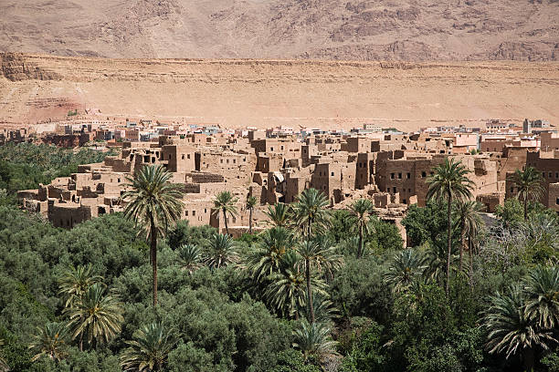 istock OASIS IN THE DESERT OF SAHARA 464545985