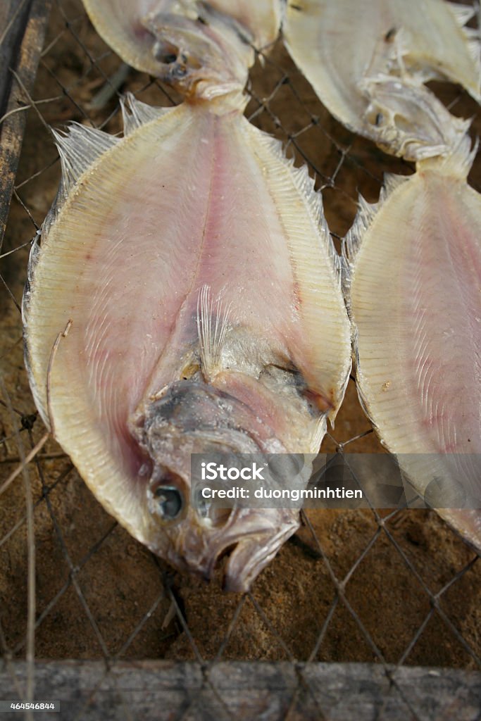 Dried fish at Mui Ne fishing village 2015 Stock Photo