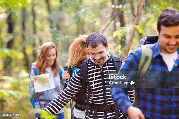 Friends Hiking In A Forest Stock Photo - Download Image Now - Active Lifestyle, Activity, Adult