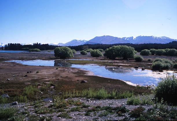 istock New Zealand 464550304