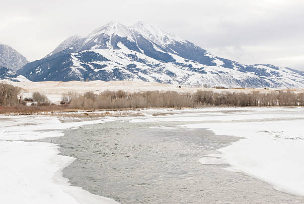istock Mountain landscape in Pray, Montana 464553663