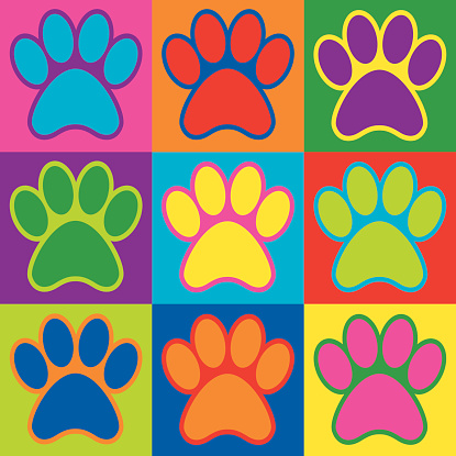 Pet paw prints in a colorful checkerboard design. 