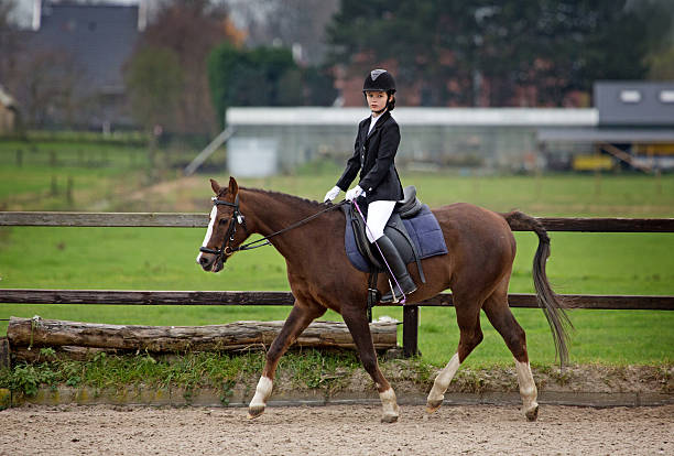 istock girl riding a horse during competition 464559805