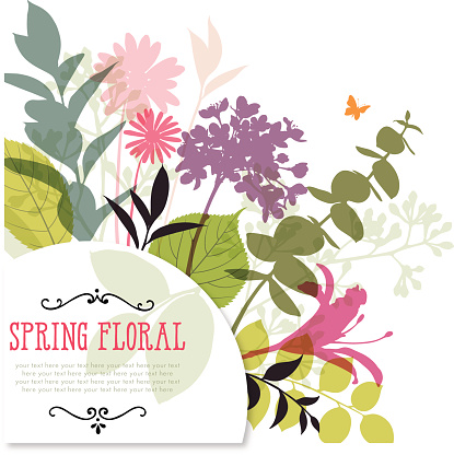 Spring flowers and stems as a background for a frame and sample text.  EPS10 file contains transparencies.  Hi res jpeg and AI10 file included.  Global colors used.