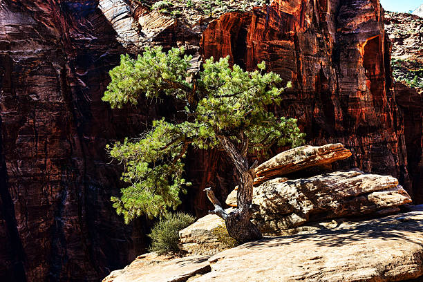Unique red, pink and white sandstone formations near Zion National Park, Utah, USA, North America