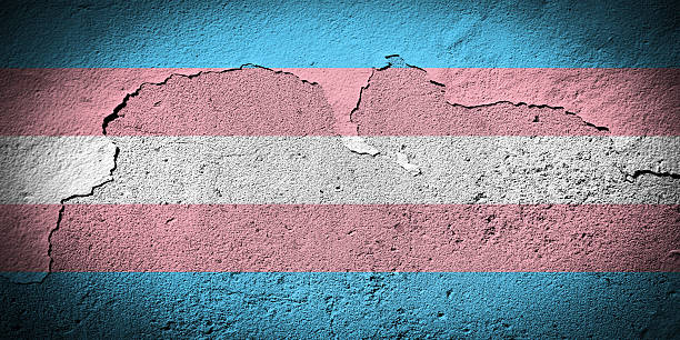 Transgender pride flag stock photo