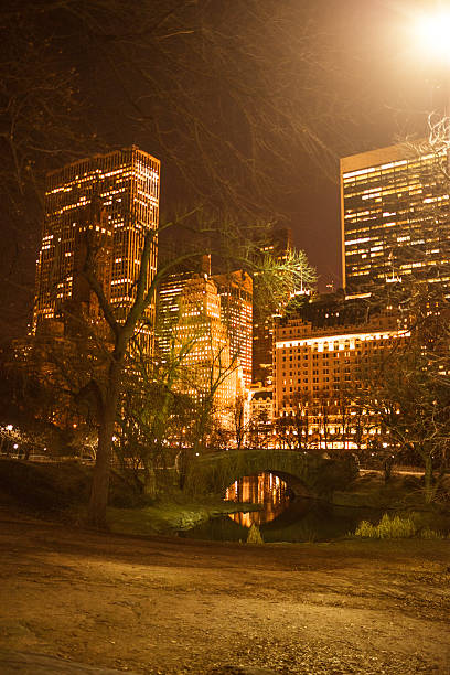 istock Winter night scene in Central park - nyc 464561665