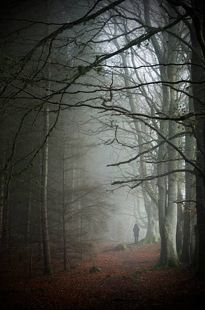 istock Figure in misty woodland. 464562874