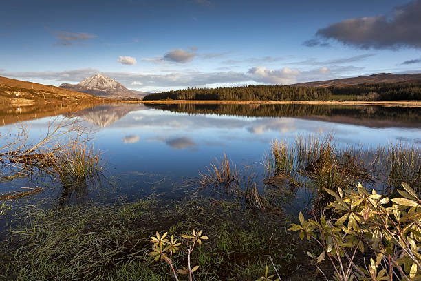 mighty errigal 、 - republic of ireland mount errigal mountain landscape ストックフォトと画像