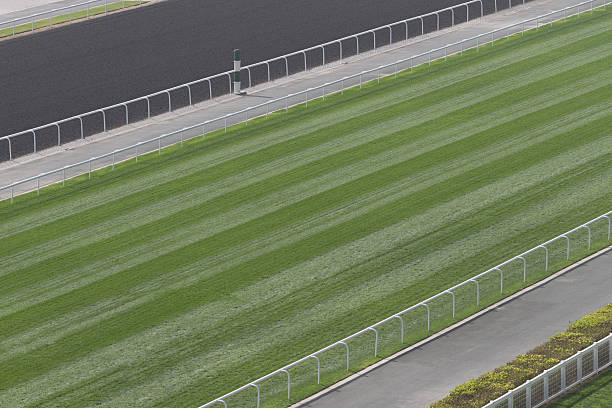 istock Turf and Dirt Track in Racecourse 464567075