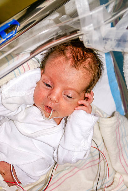 istock Newborn baby in Incubator 464569854