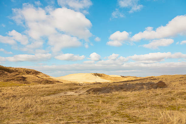 istock Grassy dune landscape with blue cloudy sky. 464572223